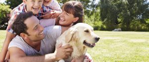 Consultation for Emotional Support Animal certification.